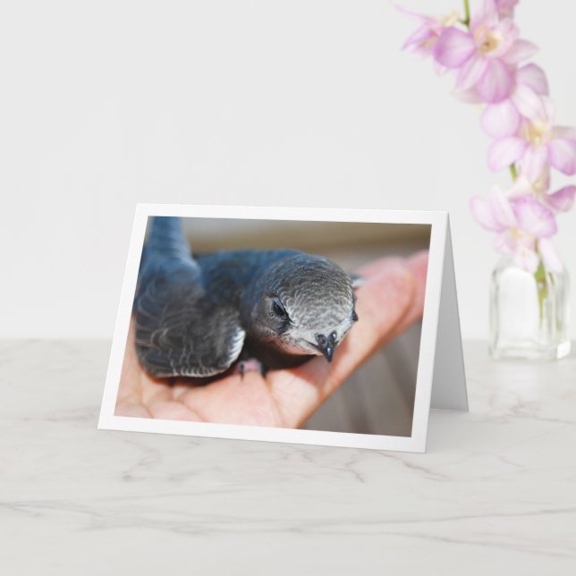 Swift Bird on Hand Card (Orchid)