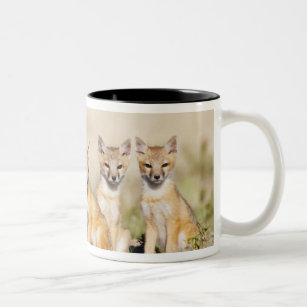 Swift Fox (Vulpes macrotis) young at den burrow, 2 Two-Tone Coffee Mug