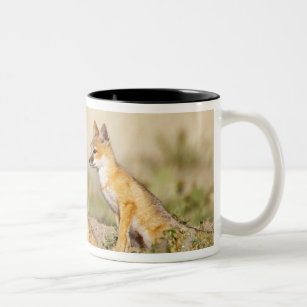 Swift Fox (Vulpes macrotis) young at den burrow, 5 Two-Tone Coffee Mug