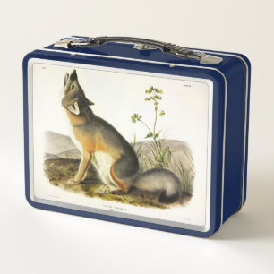 Swift Fox (Vulpes Velox) from Audubon's Quadrupeds Metal Lunch Box