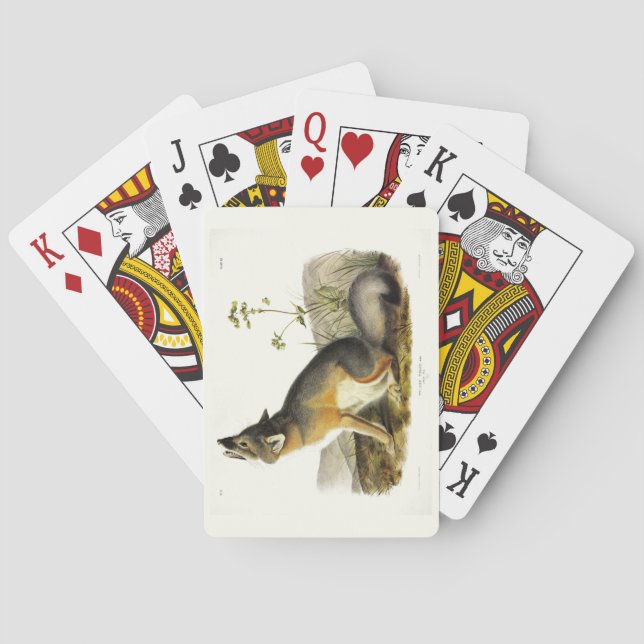 Swift Fox (Vulpes Velox) from Audubon's Quadrupeds Playing Cards (Back)