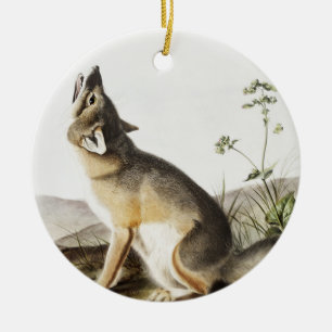 Swift Fox (Vulpes velox) Illustration Ceramic Tree Decoration