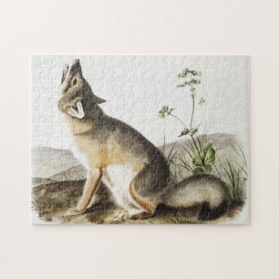 Swift Fox (Vulpes velox) Illustration Jigsaw Puzzle