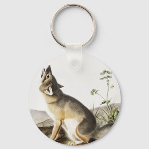 Swift Fox (Vulpes velox) Illustration Key Ring