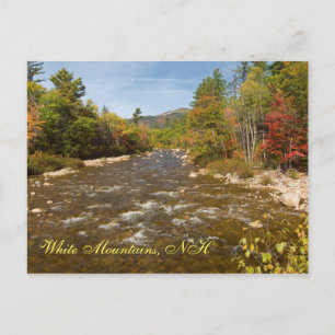 Swift River NH   Postcard