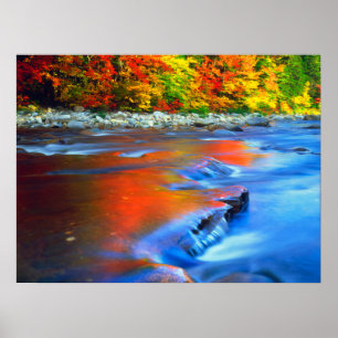 Swift River reflecting autumn colours Poster