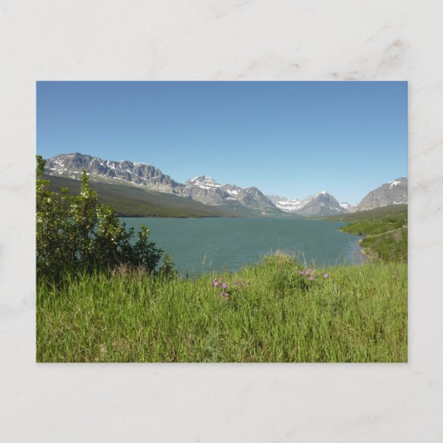 Swiftcurrent Lake View at Glacier National Park Postcard (Front)