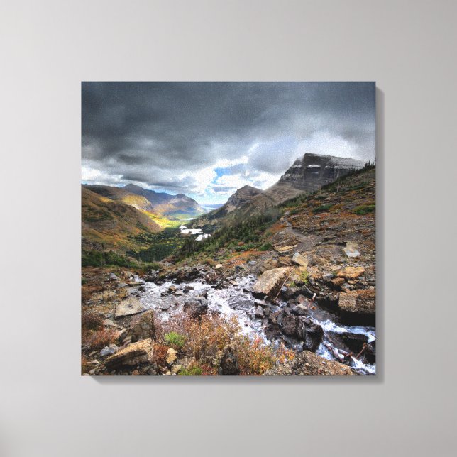 Swiftcurrent Pass Trail 3 - Glacier National Park Canvas Print (Front)