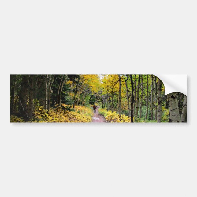 Swiftcurrent Pass Trail - Glacier National Park Bumper Sticker (Front)