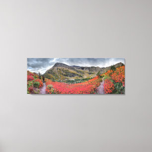 Swiftcurrent Pass Trail - Glacier National Park Canvas Print