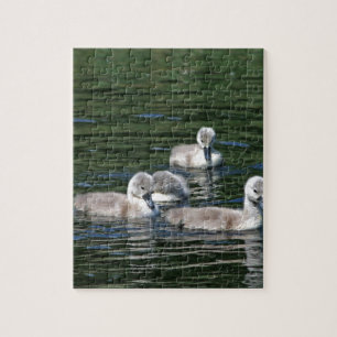Swim Friends Jigsaw Puzzle