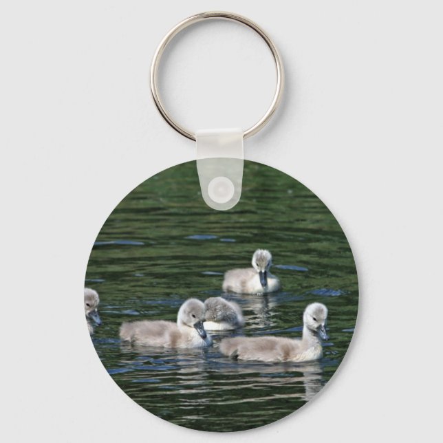 Swim Friends Key Ring (Front)