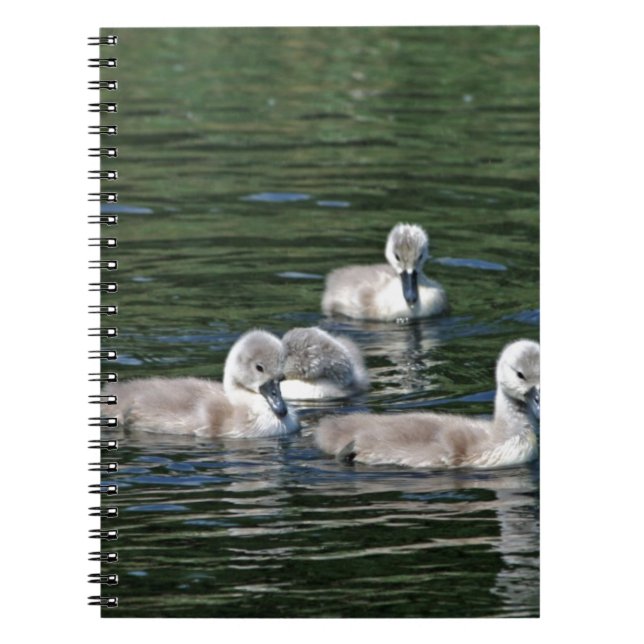 Swim Friends Notebook (Front)