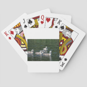 Swim Friends Playing Cards