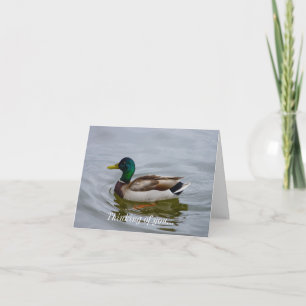 Swim Mallard Swim Card