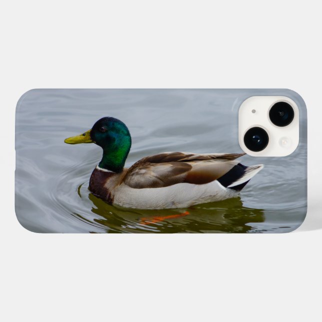 Swim Mallard Swim iPhone Case (Back (Horizontal))