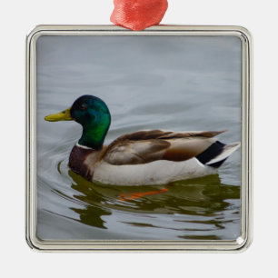 Swim Mallard Swim Metal Tree Decoration