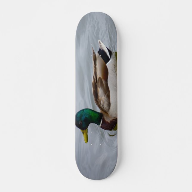 Swim Mallard Swim Skateboard (Front)