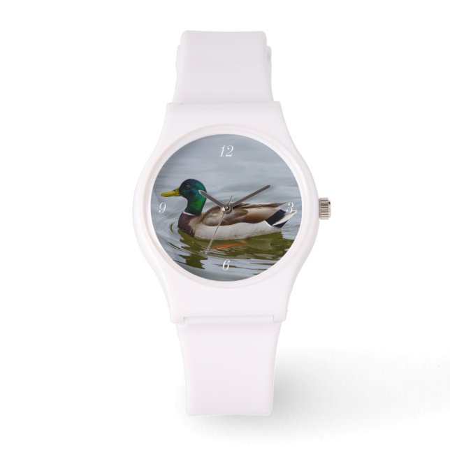 Swim Mallard Swim Watch (Front)