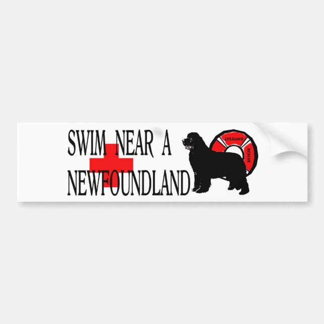 Swim near a Newfoundland Bumper Sticker (Front)