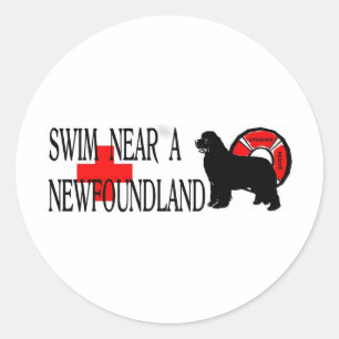 Swim near a Newfoundland Classic Round Sticker