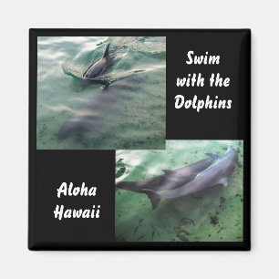 Swim with Dolphins Hawaii Magnet
