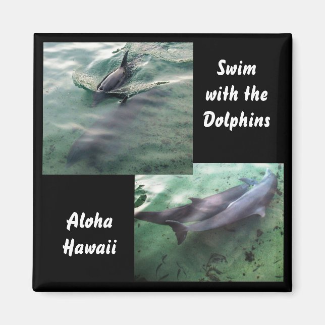 Swim with Dolphins Hawaii Magnet (Front)
