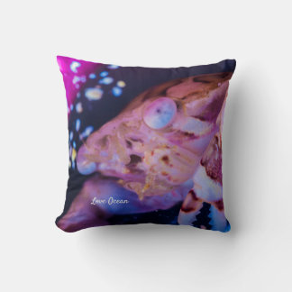 Swimmer Crab (Lissocarcinus laevis Miers, 1886 ) Cushion
