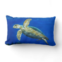 Swimmer (turtle)