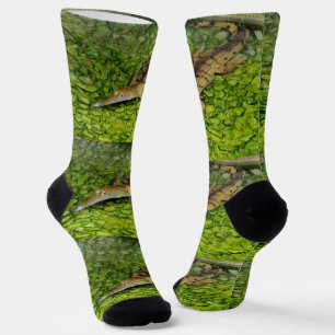 Swimming Alligator, Crew Socks 