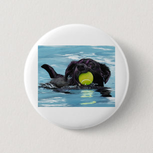 Swimming Black Lab 6 Cm Round Badge