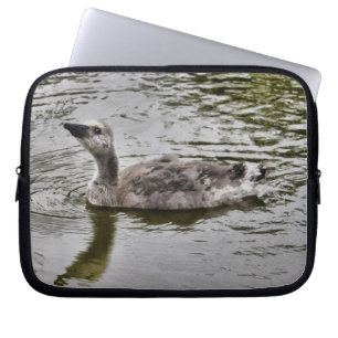 Swimming Canada Gosling Wildlife Art Scene Laptop Sleeve