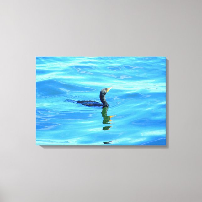 swimming cormorant wrapped canvas (Front)