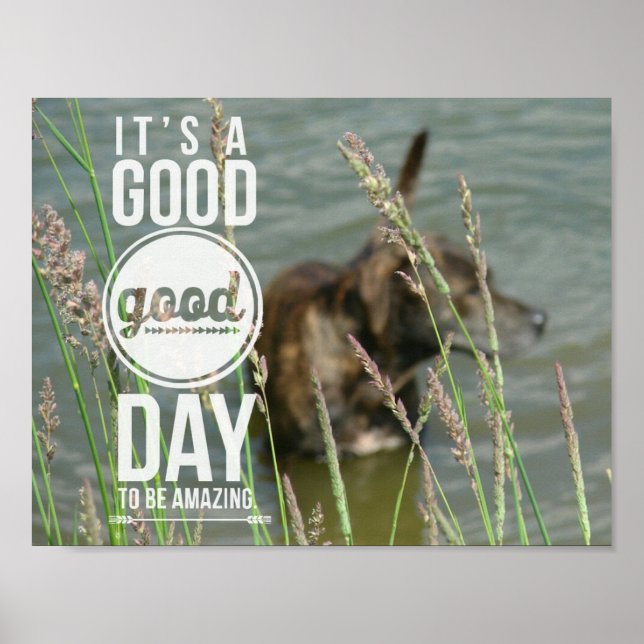 Swimming Dog, Great Day Poster (Front)
