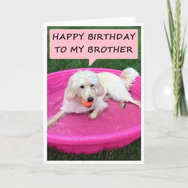 SWIMMING DOG LOVES BROTHER/BEST FRIEND BIRTHDAY CARD (Front)