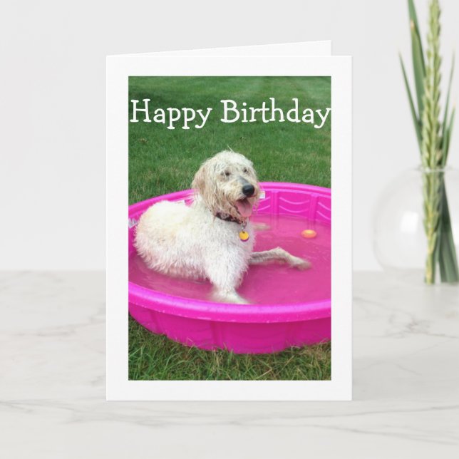 SWIMMING DOG SAYS HAPPY BIRTHDAY/HAVE FUN LIKE HIM CARD (Front)