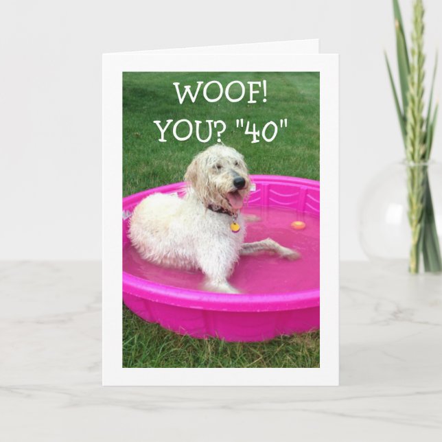 SWIMMING DOG SAYS HAPPY "YOU" ARE 40 AND NOT HIM! CARD (Front)