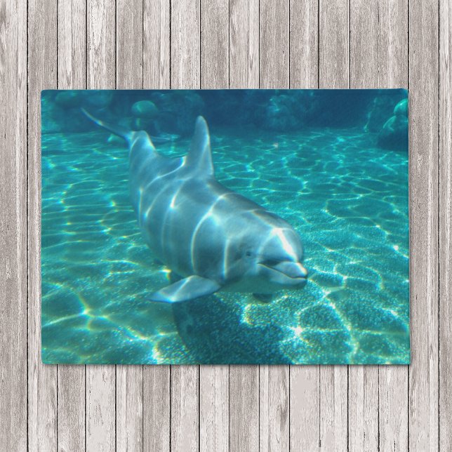 Swimming Dolphin Doormat (Creator Uploaded)