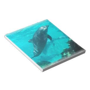 Swimming Dolphin Notepad