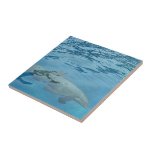 Swimming dolphin tile