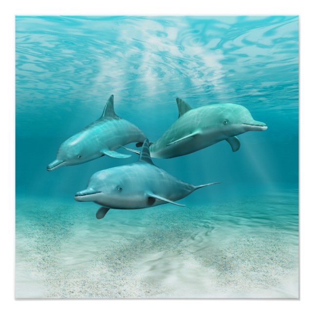 Swimming Dolphins Poster (Front)