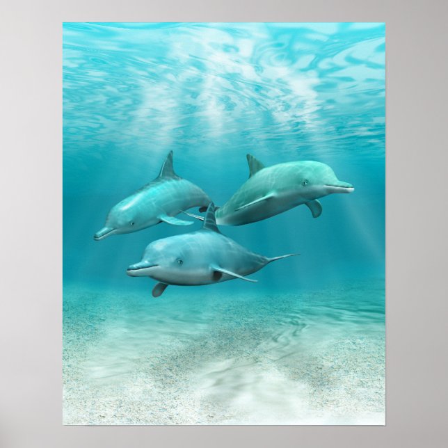 Swimming Dolphins Poster (Front)