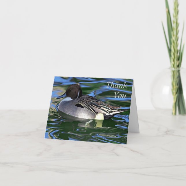 swimming duck, Thank You Note Card (Front)