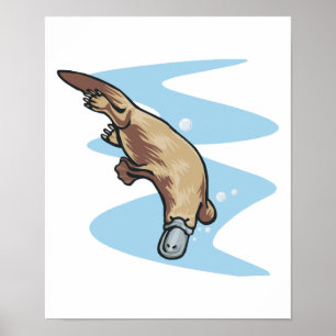 swimming duckbilled platypus poster