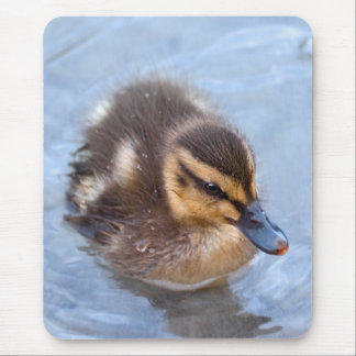 Swimming Duckling Mousemat