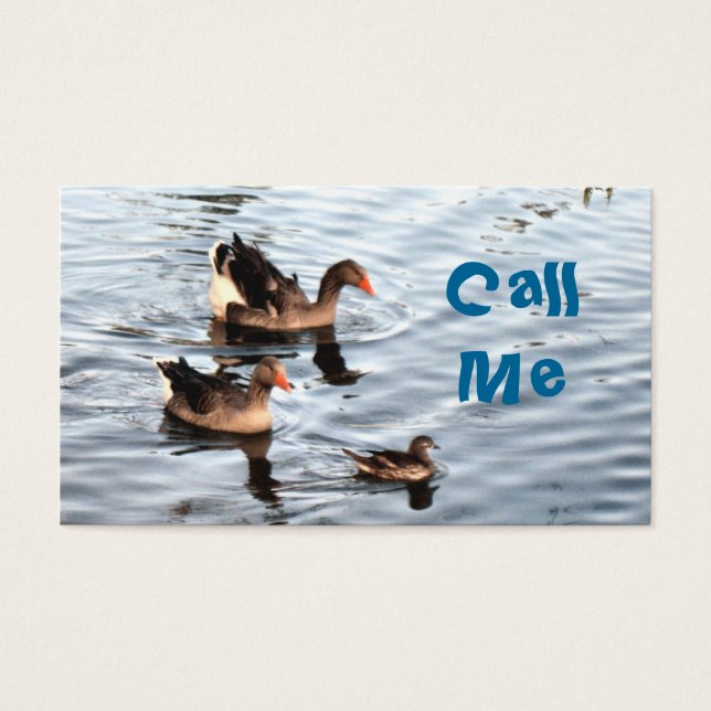 Swimming Ducks (Front)