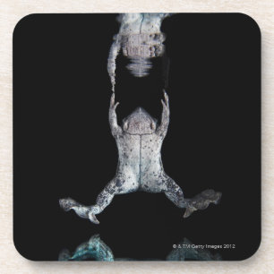 Swimming frog coaster