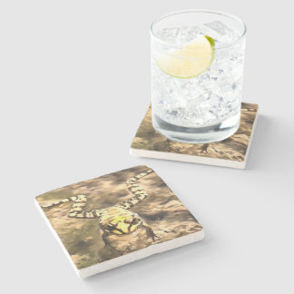 Swimming Frog Immersed In Clear River Water Painti Stone Coaster