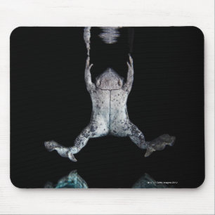 Swimming frog mouse mat