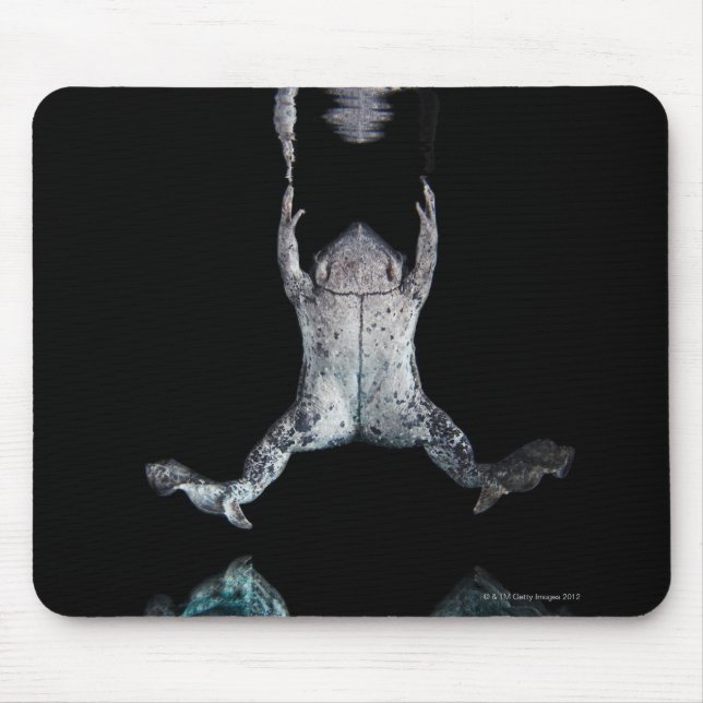 Swimming frog mouse mat (Front)